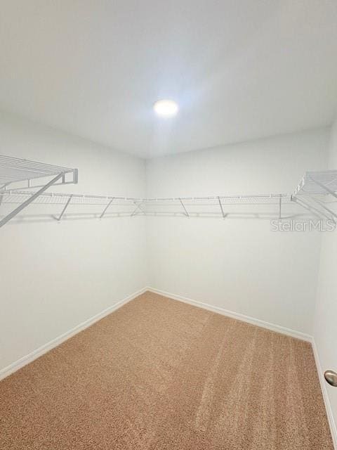 Building Photo - 40 Butternut Dr