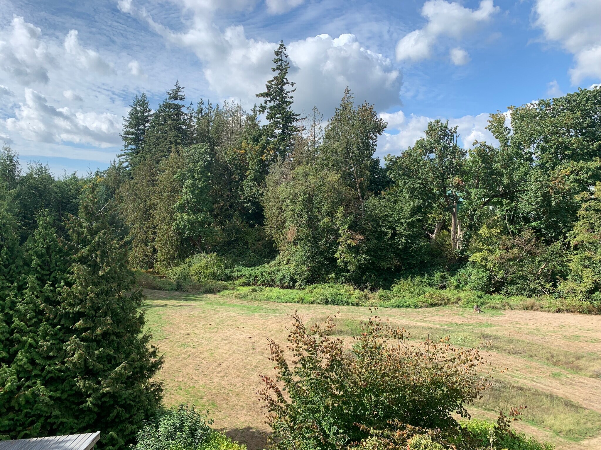 Building Photo - 107 La Villa Dr