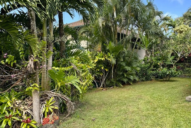 Building Photo - 4362 Ulua St