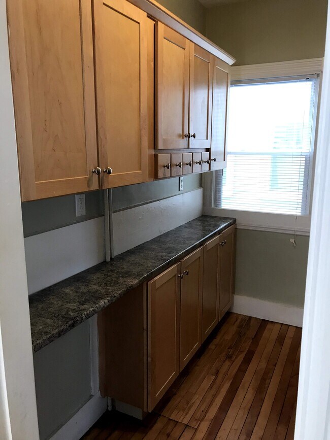 Kitchen pantry - 488 Woodford St