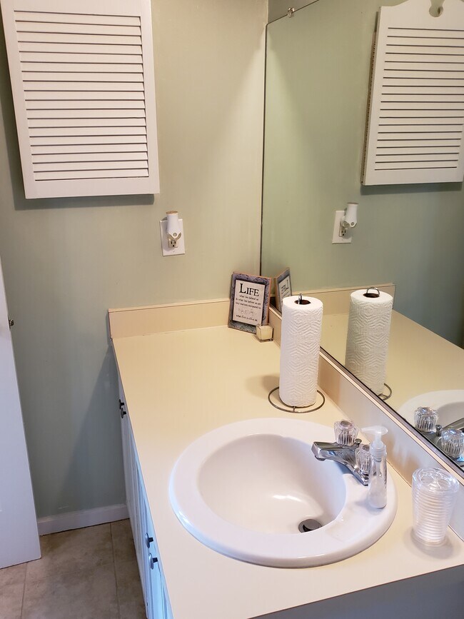 Master Bath - 536 Lanier Crescent