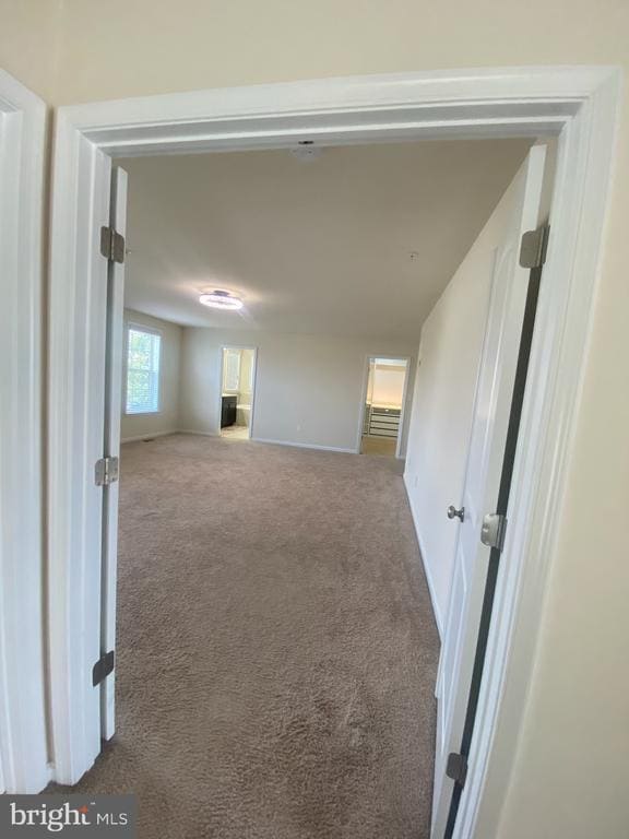 Building Photo - 4806 Calibri Ct