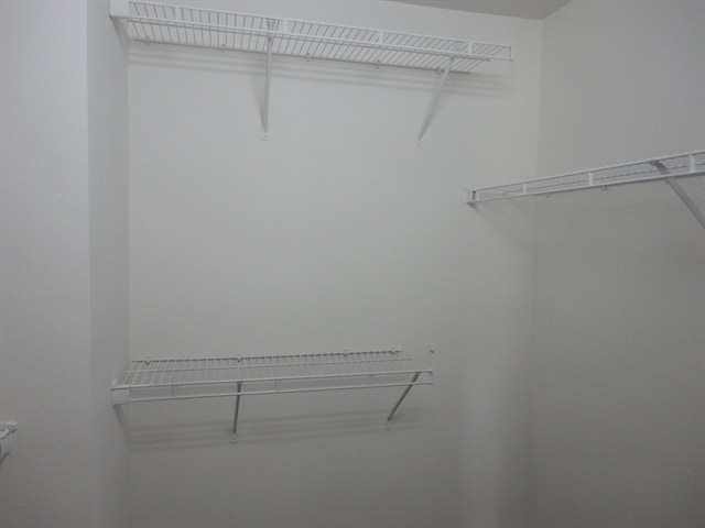 Building Photo - 1739 Mosaic Forest Dr