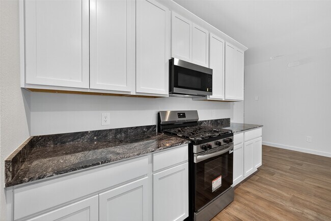 Building Photo - 1703 Stelvio Pass Dr