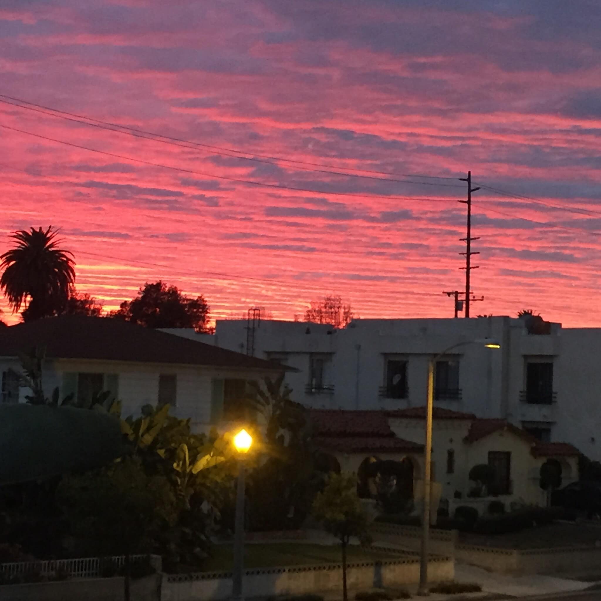 Building Photo - 2010 Virginia Ave