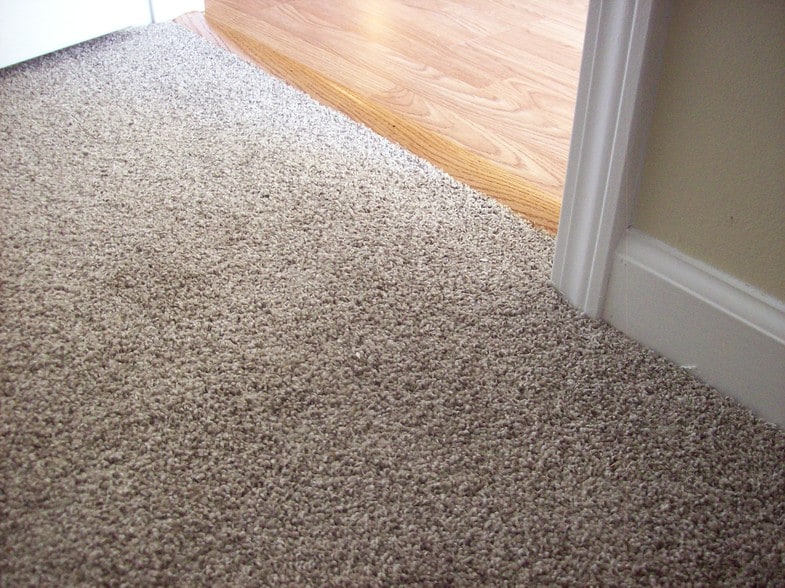 Bedrooms have wall to wall carpeting - 1182 Middle Rd