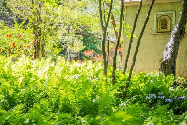 Building Photo - Historic Home Available at Foxhaven Farm