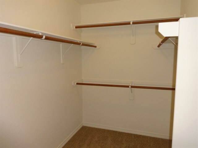 Building Photo - 4719 Brazos Point Ln