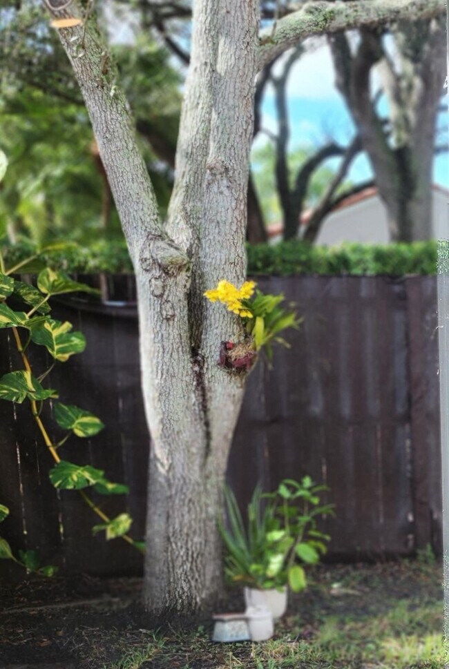 Building Photo - 1303 Seagrape Cir