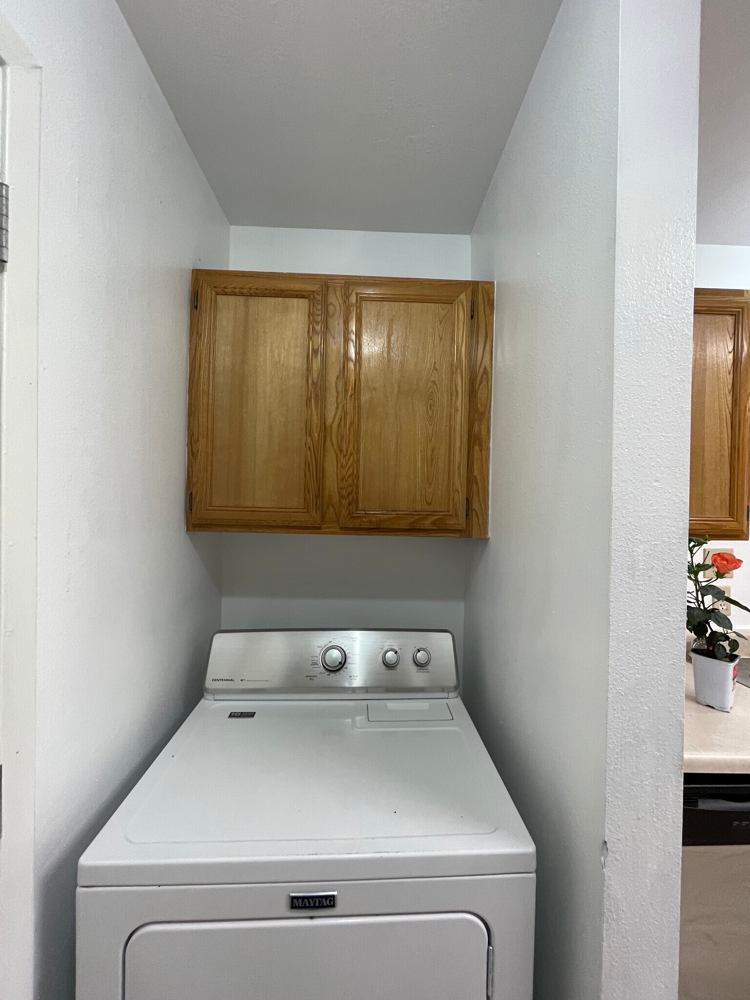 Building Photo - 1205 Vinyard Ct