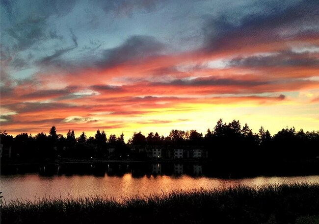 Building Photo - 31003 14th Ave S