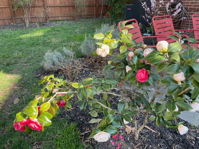 patio - 1836 Varnum St NE