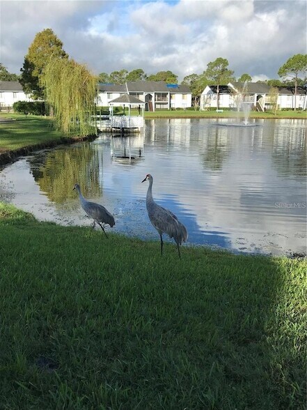 Building Photo - 8203 Sun Spring Cir