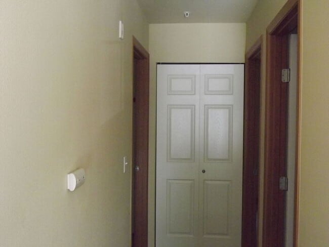 Building Photo - Spectacular 3 Bedroom Condo in "Alicia Mea...