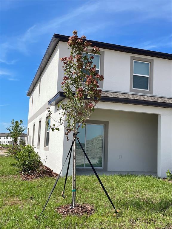 Building Photo - 32077 Powderpuff Mimosa Dr