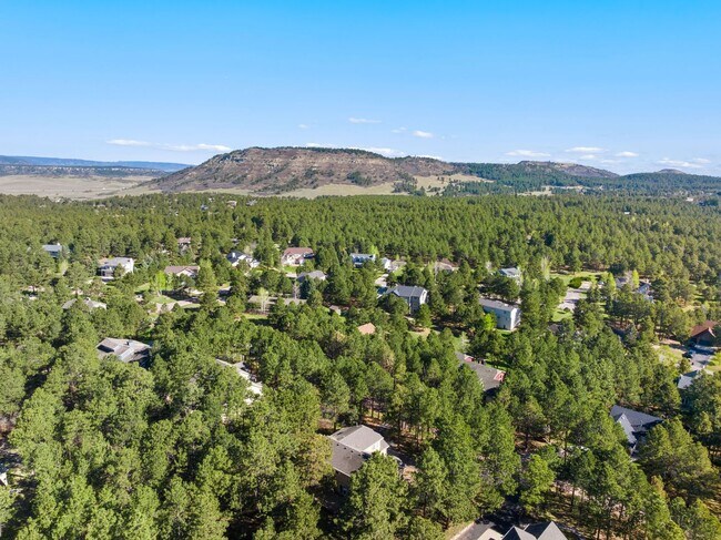 Building Photo - Warm & Spacious Woodmoor Home in a Fantastic Location!