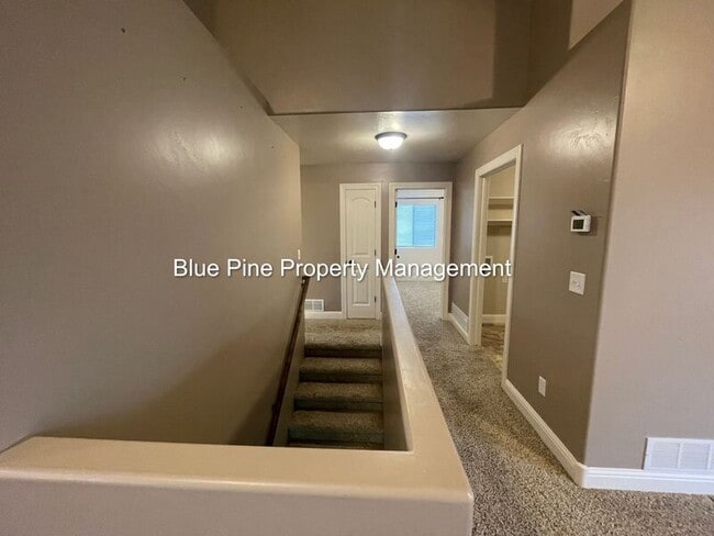 Building Photo - 3908 Tradition Ct