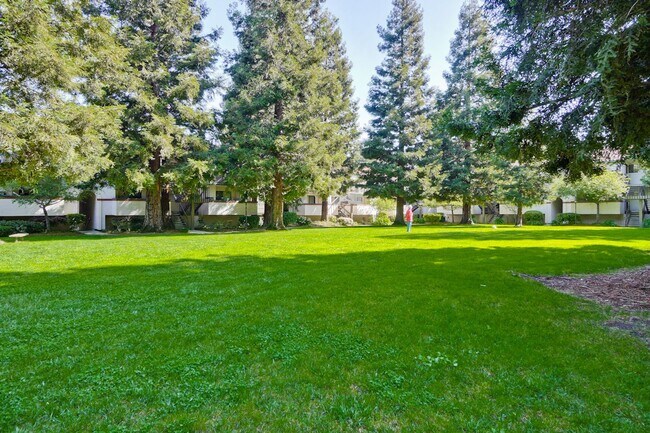 Building Photo - Recently upgraded Condo in a highly desirable location in Sunnyvale.