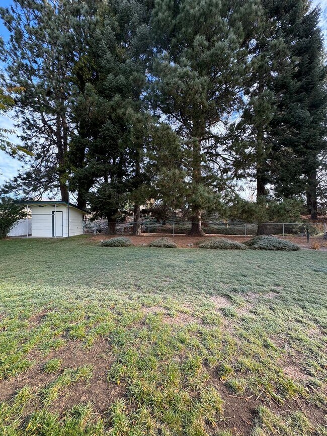 Building Photo - 4337 Lombard Dr