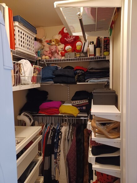 Walk in closets w/ organizer - 6400 Christie Ave