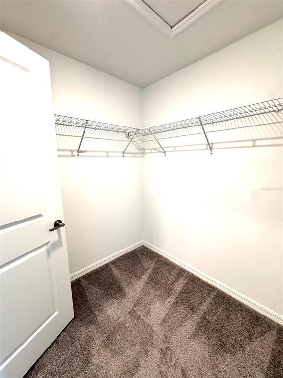 Building Photo - 32235 Powderpuff Mimosa Dr