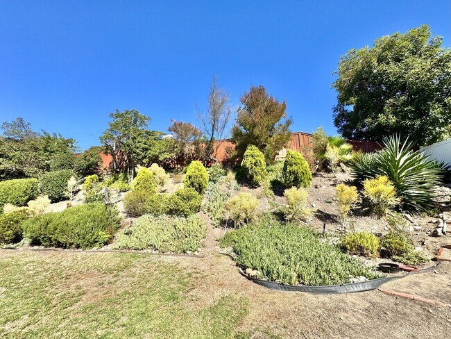 Building Photo - Prestigious Home In Beautiful Del Cerro ~ 5 Bedroom / 3 Bathroom House!!!