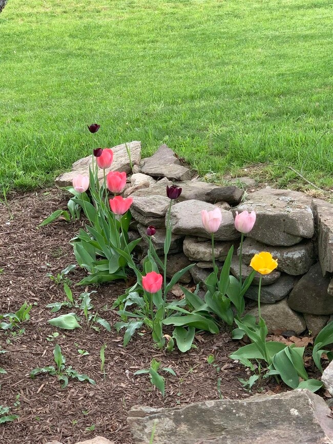 Building Photo - 293 Bear Hill Rd