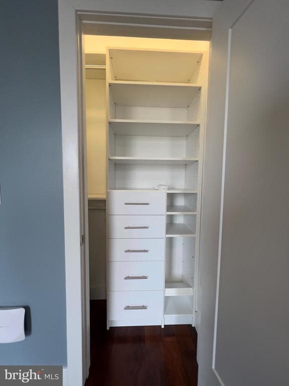 Building Photo - 423 Wallace St