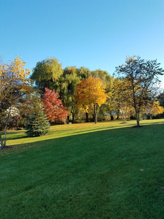 Willowbrook Place 205 Green Bay Rd Thiensville WI 53092 Apartment