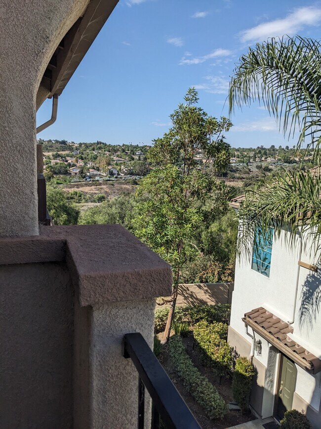 Building Photo - 3106 Via Puerta