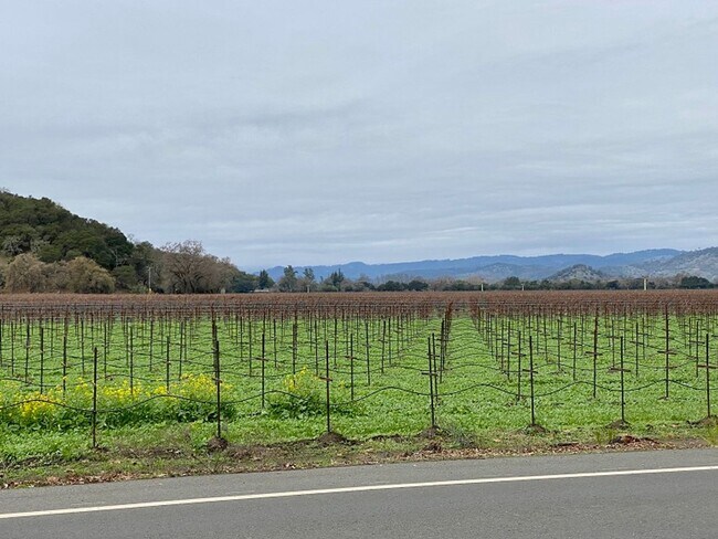 Building Photo - 1925-1935 Yountville Crossroads