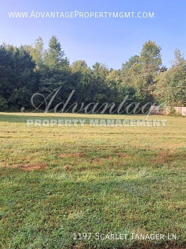 Building Photo - 1197 Scarlet Tanager Ln