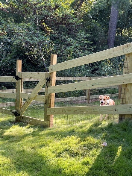 Building Photo - 11931 Lakeview Manor Dr