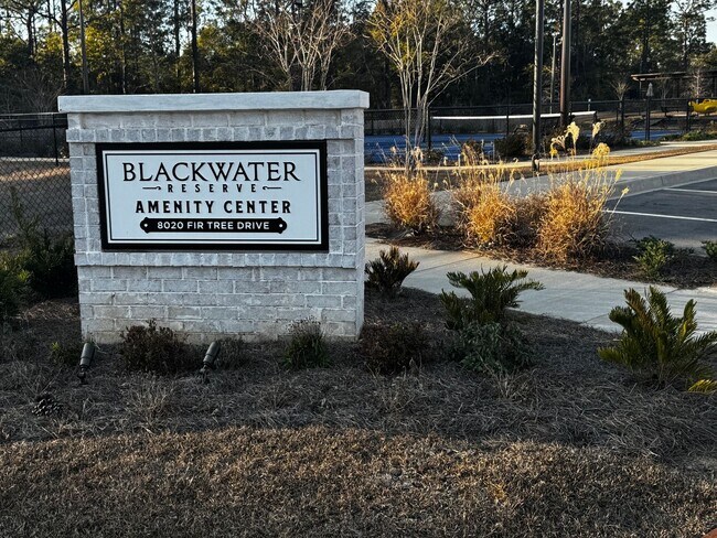 Building Photo - Brand new 5BR/3BA with Amenities Galore