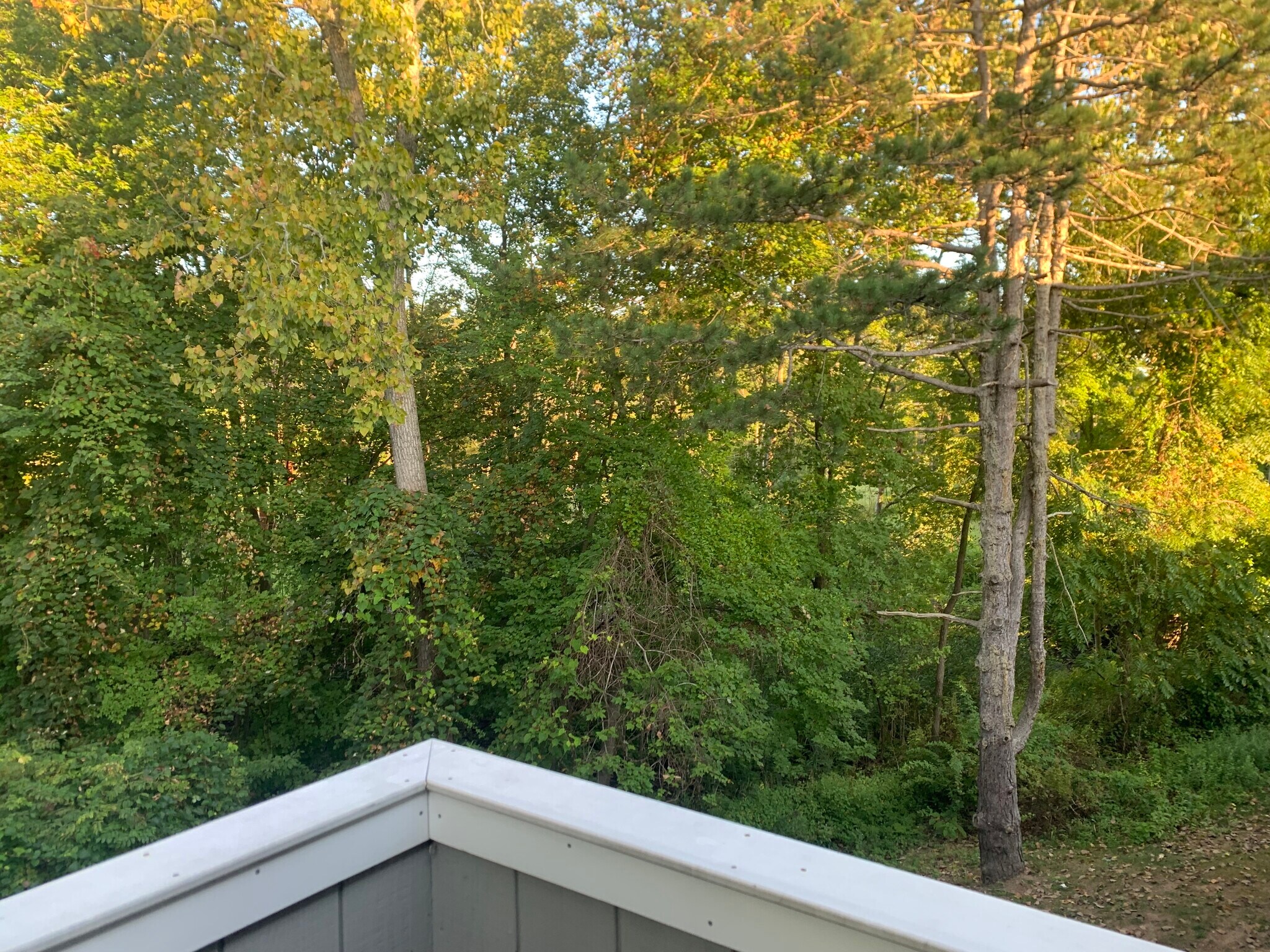 Building Photo - 1309 Sunfield Dr