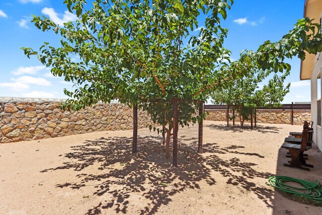 Building Photo - 845 Villa Seca Dr