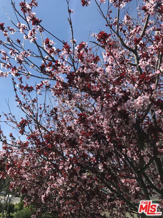 Building Photo - 4189 Vineland Ave