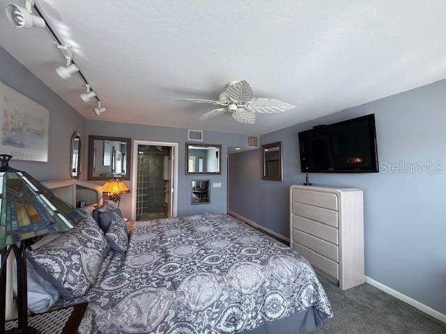 Building Photo - 3806 Gulf of Mexico Dr