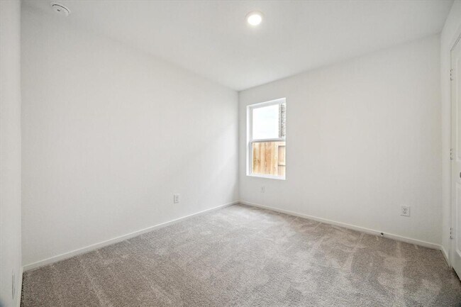 Building Photo - 28830 Texas Sparrow Ln