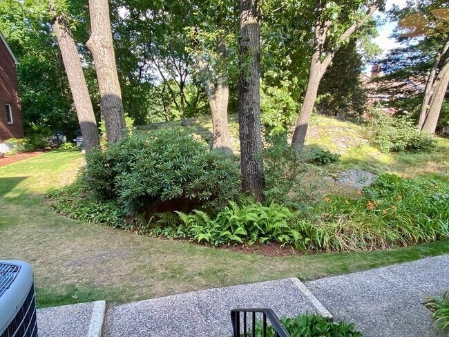 Building Photo - 224 Park St