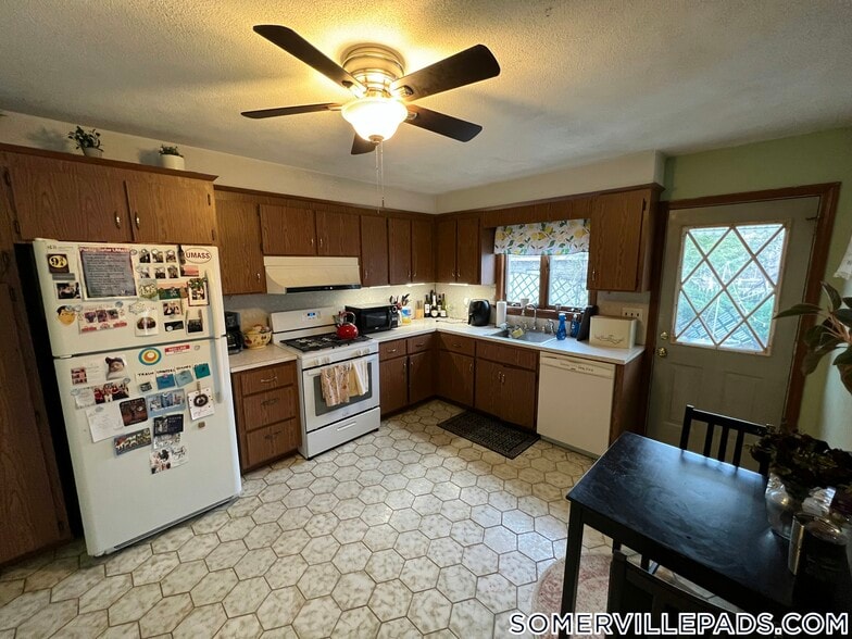 Building Photo - 213R Holland St.