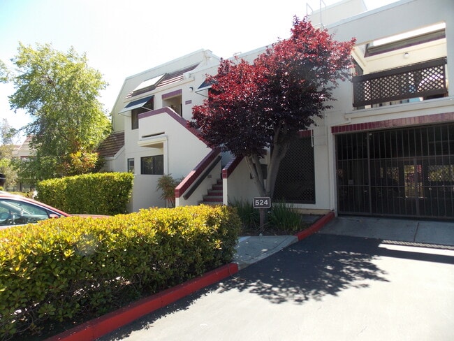 Primary Photo - 524 Shorebird Cir
