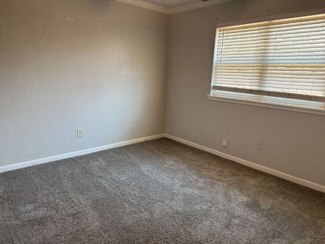 Building Photo - Updated 3 bedroom one bath home with a shade tree and large yard.