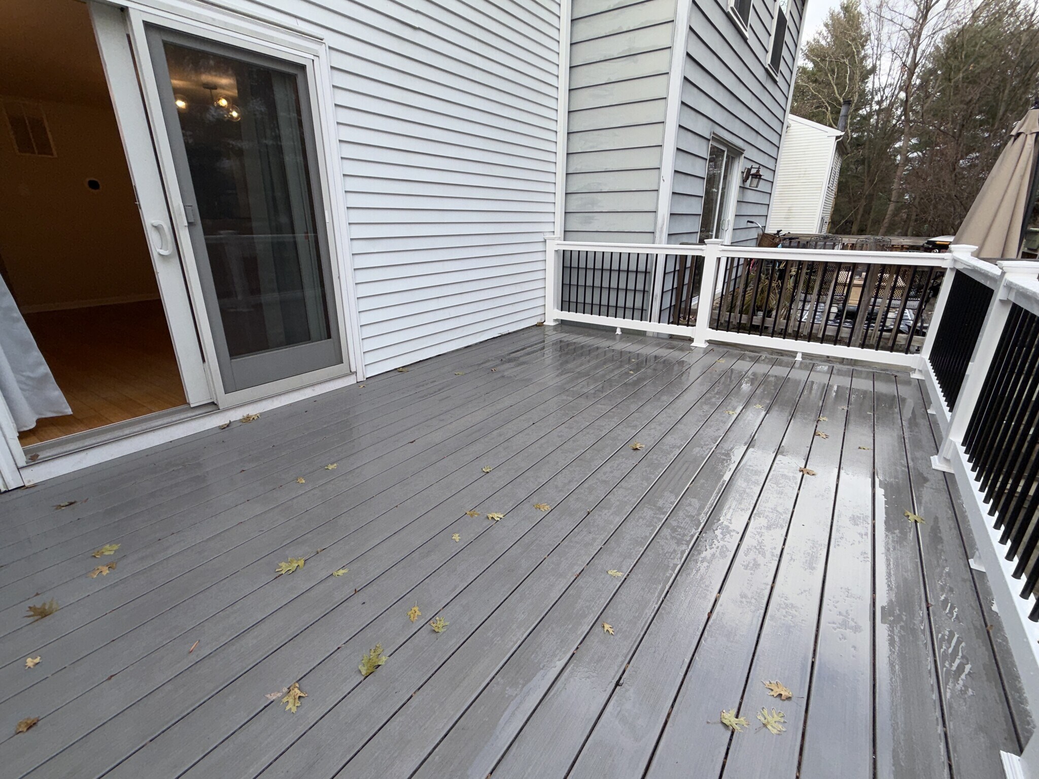 Building Photo - 1195 Palmwood Ct