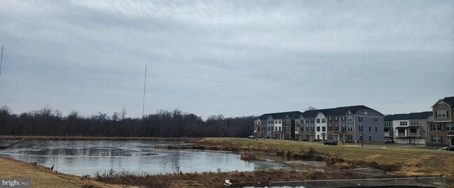 Building Photo - 2111 Collington Pl