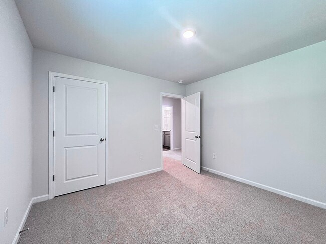 Building Photo - 258 Palm Dr