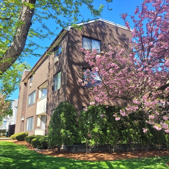 Primary Photo - 935 Washington St