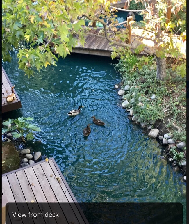 Building Photo - 911 Fulton Ave