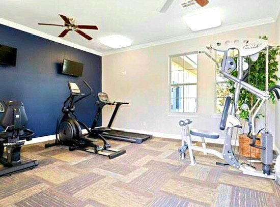 Community gym - 1433 Meridian Dr