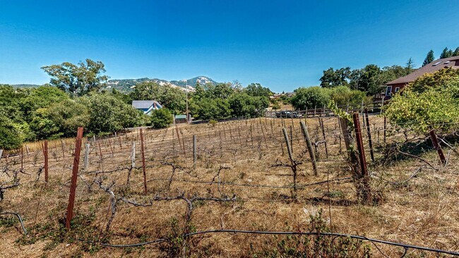 Building Photo - Gorgeous Home with private yards, large de...